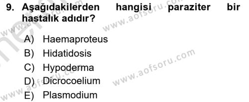 AÖF Temel Veteriner Parazitoloji Dersi 2021 2022 Yılı Vize Ara