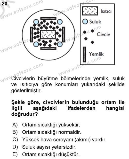 AÖF Hayvan Yetiştirme Dersi 2022 2023 Yılı Yaz Okulu Sınavı AÖF Soru