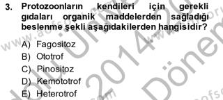 Aof Temel Veteriner Parazitoloji Dersi 2014 2015 Yili Final Donem Sonu Sinavi Aof Soru