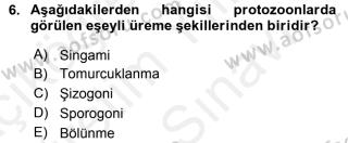 Aof Temel Veteriner Parazitoloji Dersi 2018 2019 Yili Ara Sinavi Aof Soru