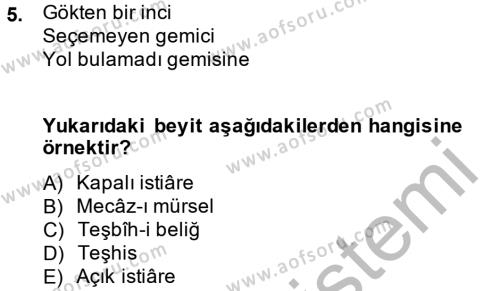 Eski Türk Edebiyatına Giriş: Söz Sanatları Dersi Ara Sınavı Deneme Sınav Soruları 5. Soru